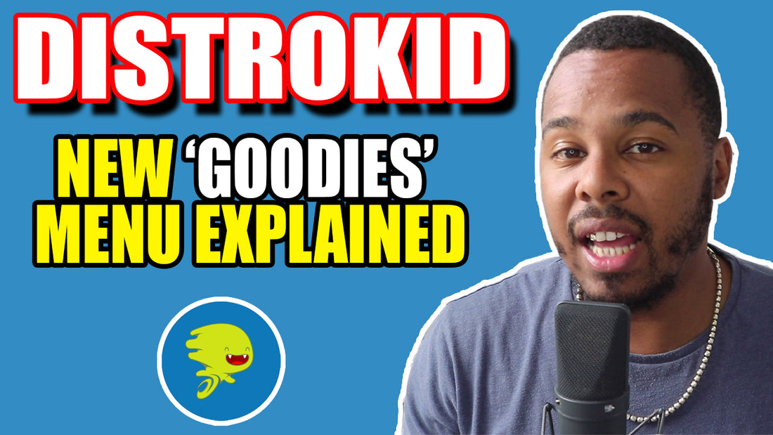 DISTROKID GOODIES: Music Marketing Strategies 2021 + Distrokid Playlist Spotlight