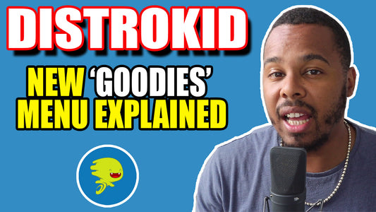 DISTROKID GOODIES: Music Marketing Strategies 2021 + Distrokid Playlist Spotlight